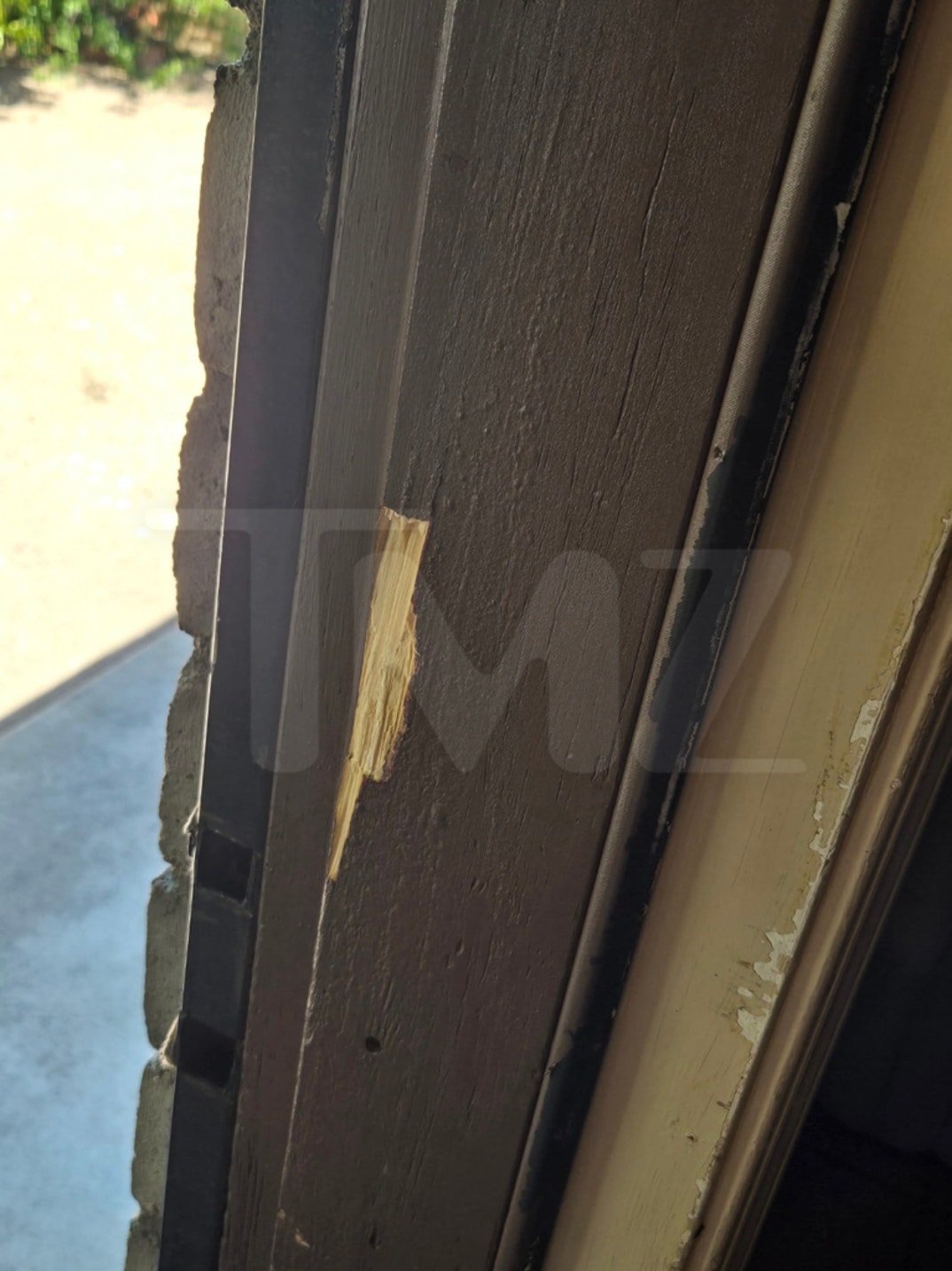 Suspect Nancy Guthrie Investigation Alleged Property Damage 2