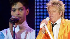 Prince vs. Rod Stewart: Who'd You Rather?