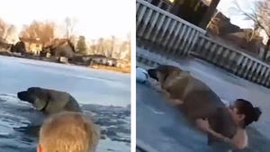 Video of Cops Saving Dog That Fell Into Icy Waters