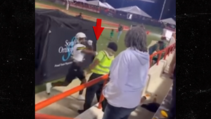 Alabama St. Receiver Arrested For Punching Security At FAMU Game