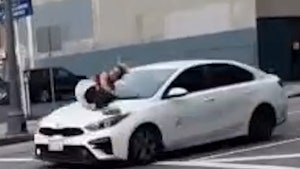 Woman Clings to Speeding Car After Thieves Steal French Bulldog