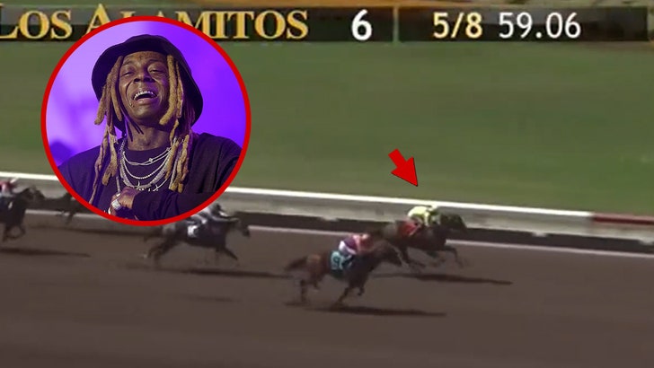 lil_wayne_horse_kal
