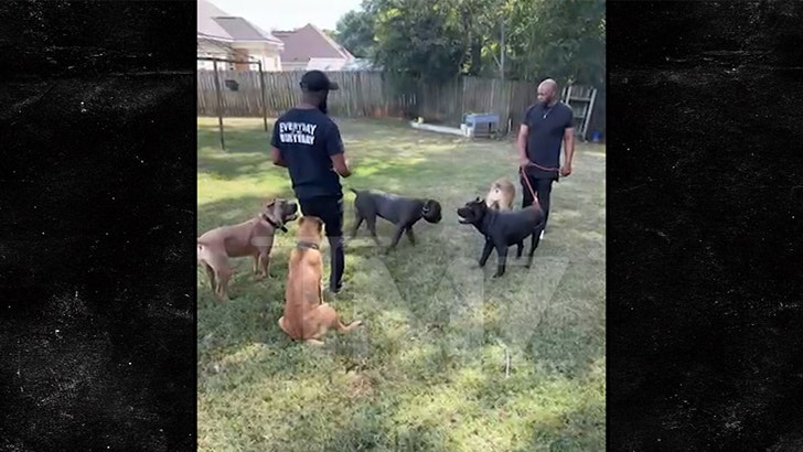 tyrese-dogs-kal-10-03-2025