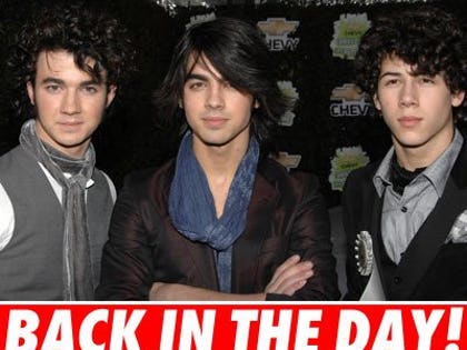 The Jonas Brothers