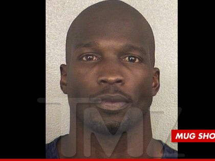 0610_chad_johnson_mug_shot_article