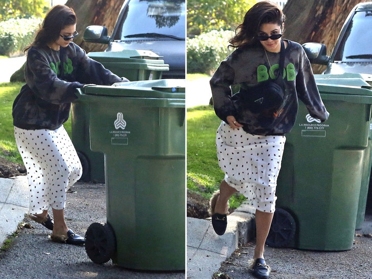 0114 venssa hudgens taking out trash MEGA