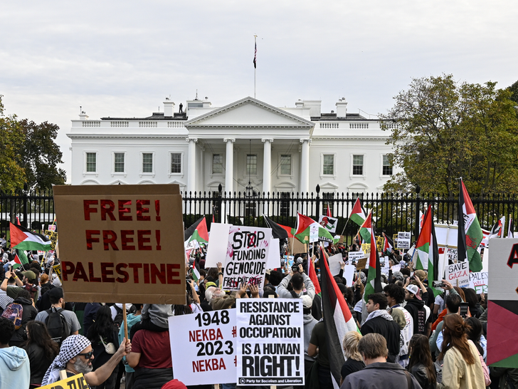 Pro-Palestinian Protest outside the White House