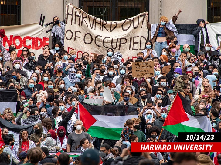 Protestos Da Universidade De Harvard 2023 Getty 1