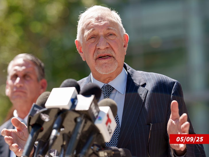 mark geragos press sub getty swipe