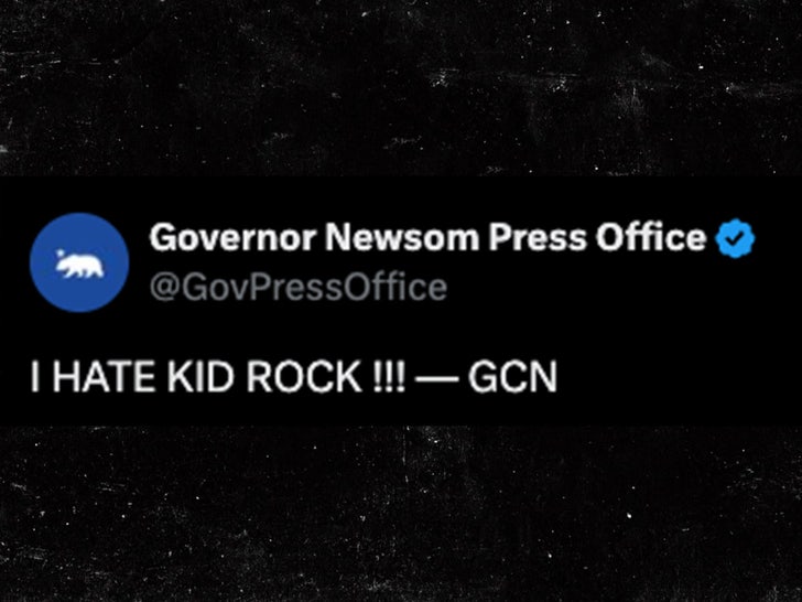 gavin newsom kid rock x sub