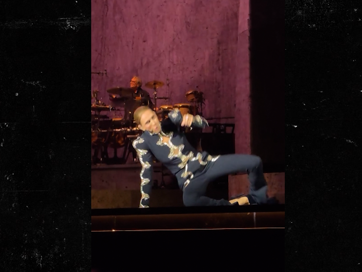 100826_celine_dion_SUB_falling
