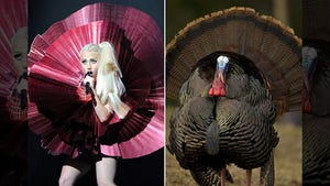 Lady Gaga's Greatest Thanksgiving Looks -- Delicious!