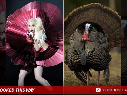 1126_lady_gaga_thanksgiving_launch_v2