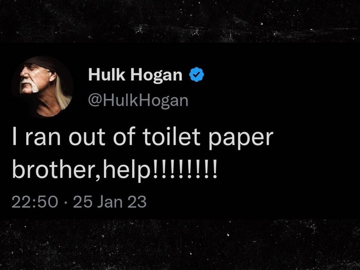 tweet do hulk hogan