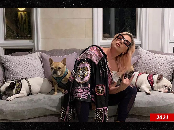 lady-gaga-and-dogs-2