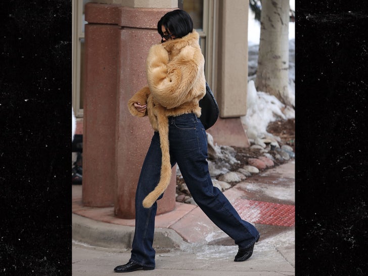 0120-kylie-kendall-jenner-aspen-fur-fotos-de-moda-primárias-3