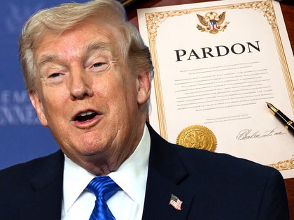 donald trump pardon getty composite