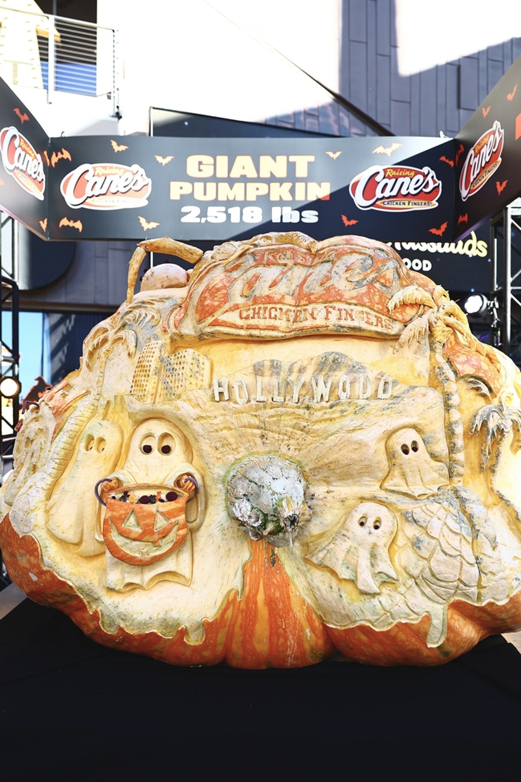 Cane's Unveiling Giant Pumpkin 16