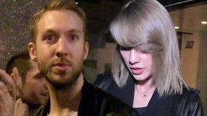 Taylor Swift Breakup -- Calvin Harris Was Just Done with the Hollywood Thing