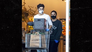Demi Lovato and Boyfriend Max Ehrich Grocery Shop During Coronavirus Pandemic