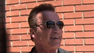 Arnold Schwarzenegger Visits Tiny Homes He Donated to Homeless Vets