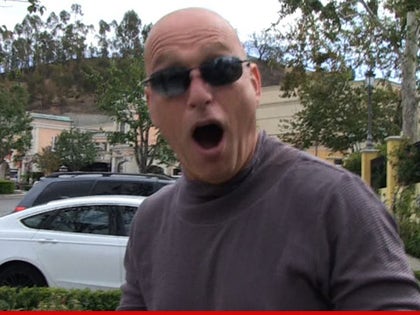 0130-howie-mandel-tmz-article