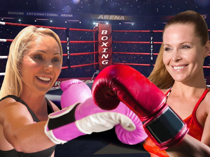 728px x 534px - Mary Carey Fighting 'Pippi Longstocking' Tami Erin in Celebrity Boxing