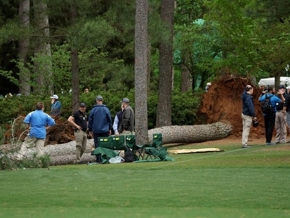 Fallen Tree The Masters Photos  0011