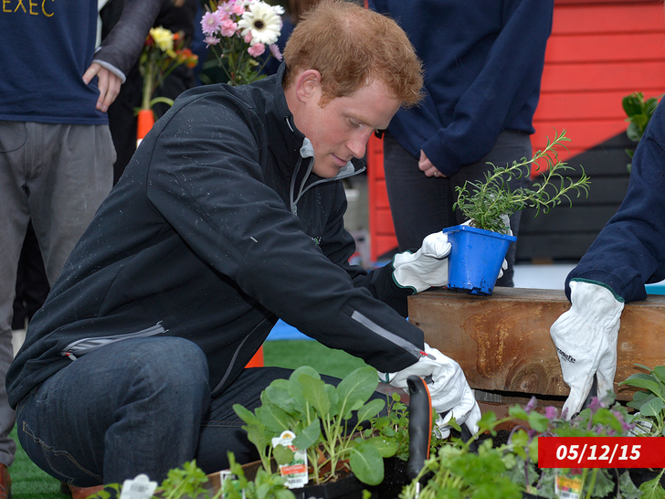 Prince Harry gardening