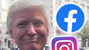 President Trump's Facebook, Instagram Not Restored Despite Twitter Frenzy