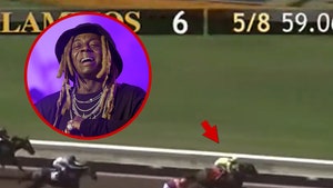 lil_wayne_horse_primary