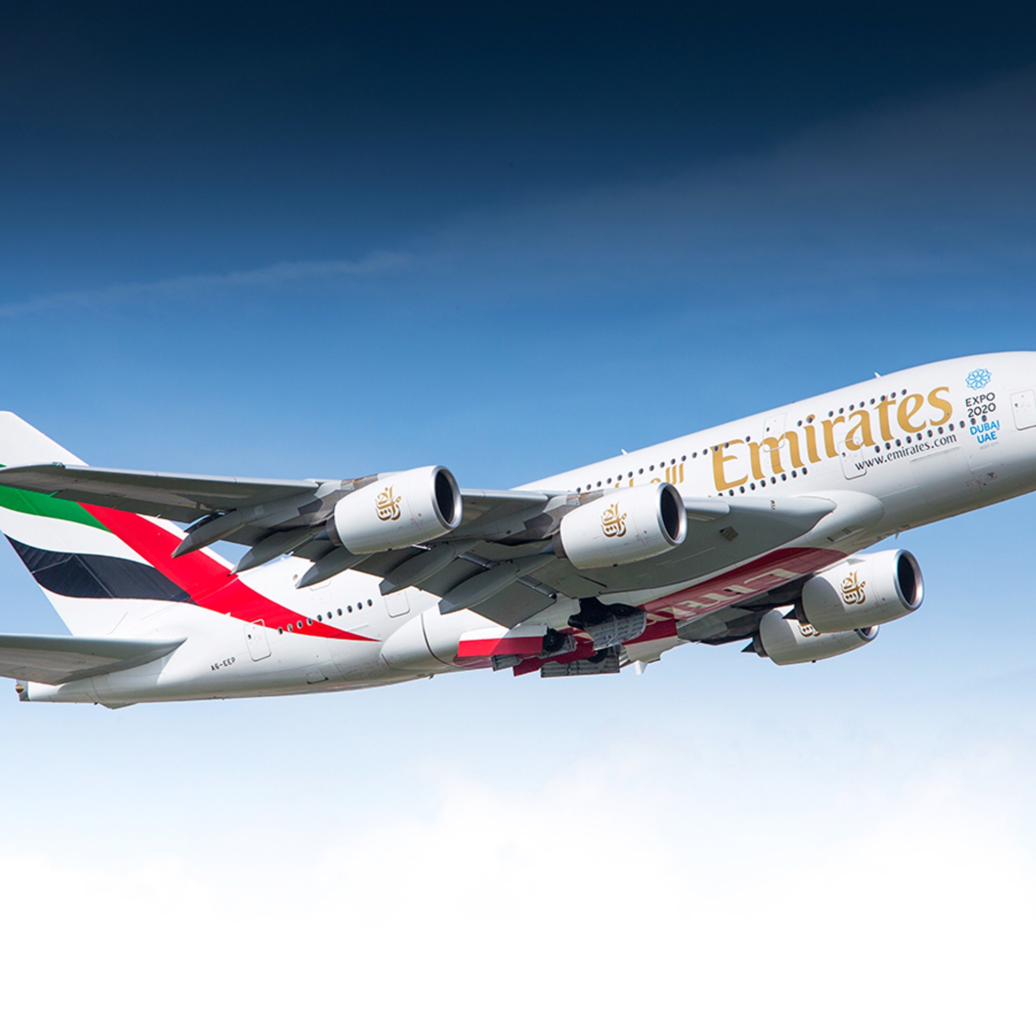 Buy Emirates Animal Transport | UP TO 52% OFF