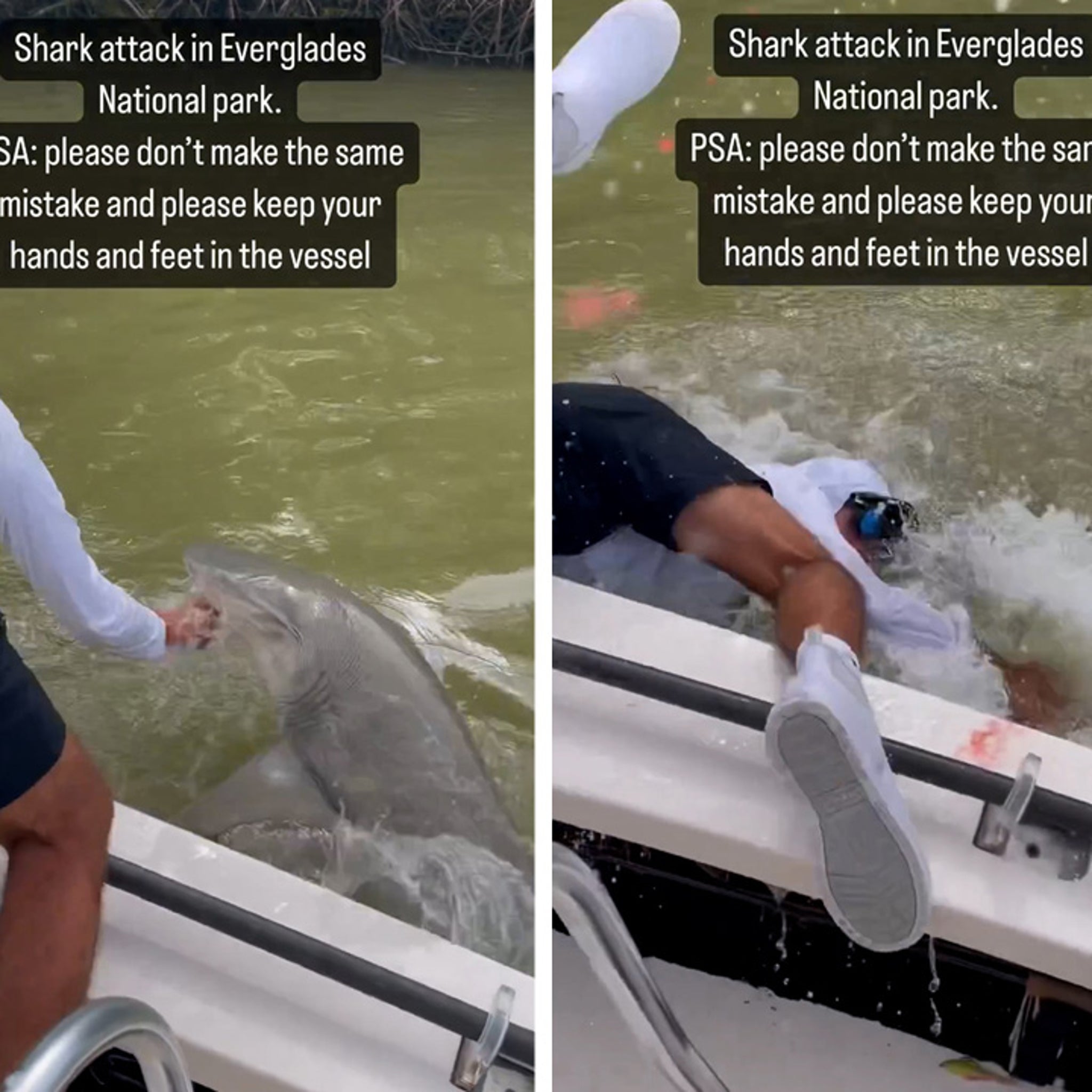 Shark bites Florida man swimming near fishing line