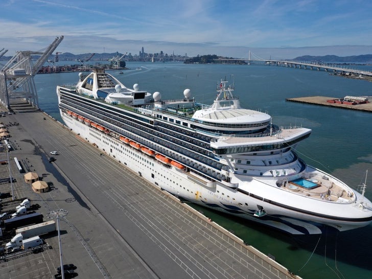 Princess Cruise Ship in San Francisco
