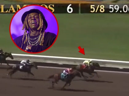 lil_wayne_horse_primary
