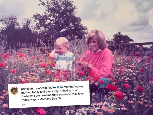 príncipe-william-princesa-diana-sub-ig-1