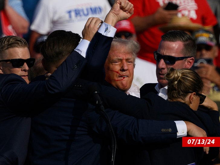 donald trump assasination attempt getty