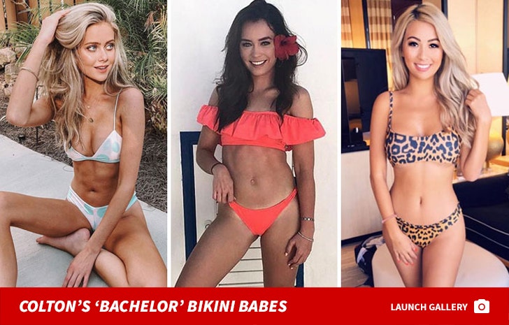 Colton Underwood's 'Bachelor' Bikini Babes