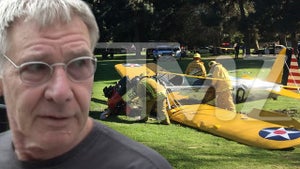 Harrison Ford -- LAFD Scanner Audio ... 'One Critical Patient'
