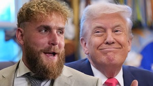 jake paul donald trump getty