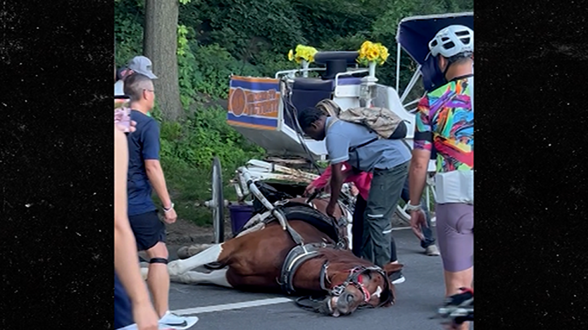 Central Park Visitors Horrified When Carriage Horse Suddenly Dies, On Video