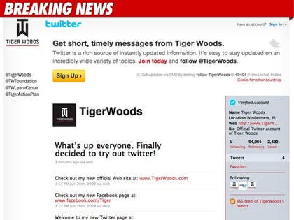1117_tiger_twitter_BN