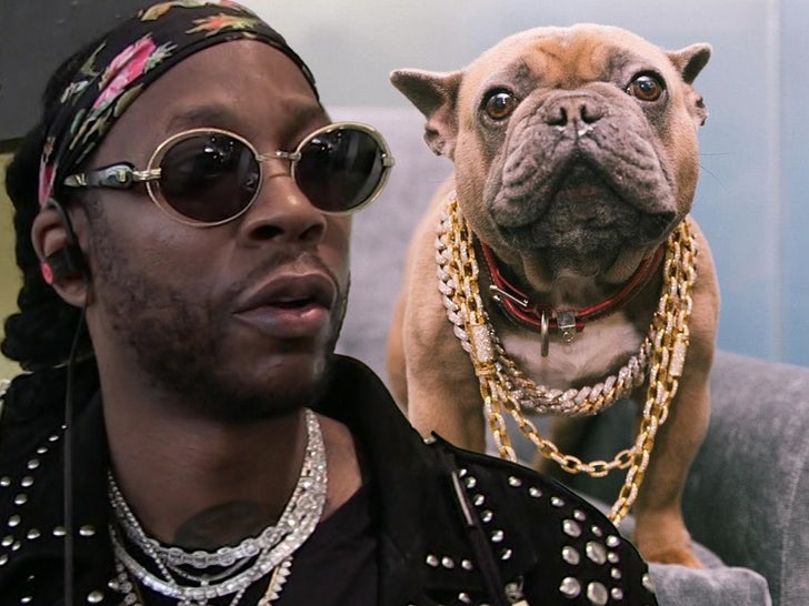 2 Chainz, 'Bazı İnsanlardan Daha Fazla Sevdiği' Köpeğinin Ölümüne Yas Tutuyor