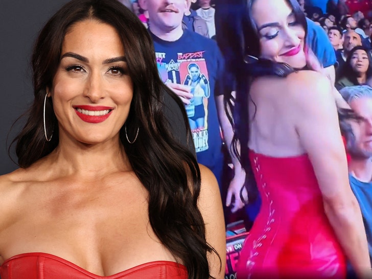 nikki bella wwe senin malam mentah