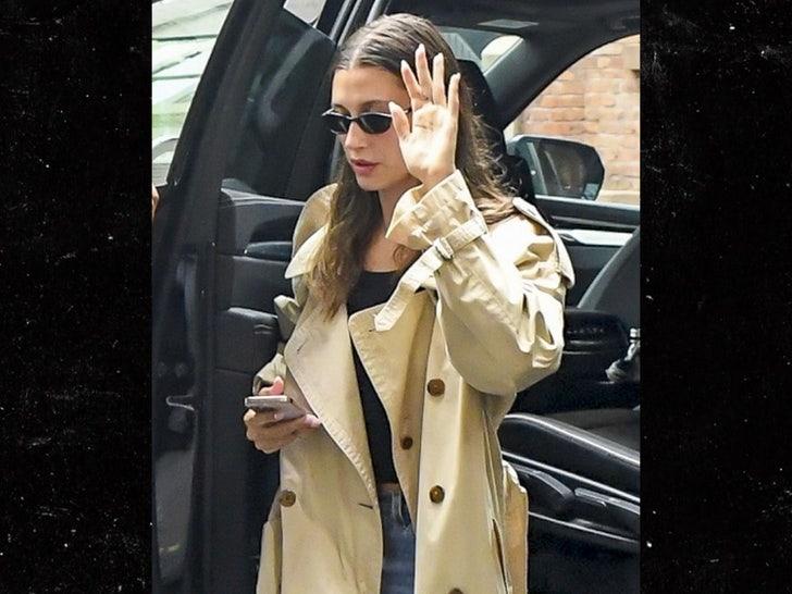 hailey bieber backgrid 3