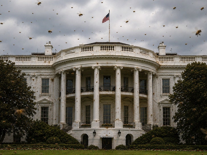 white house bees tmz