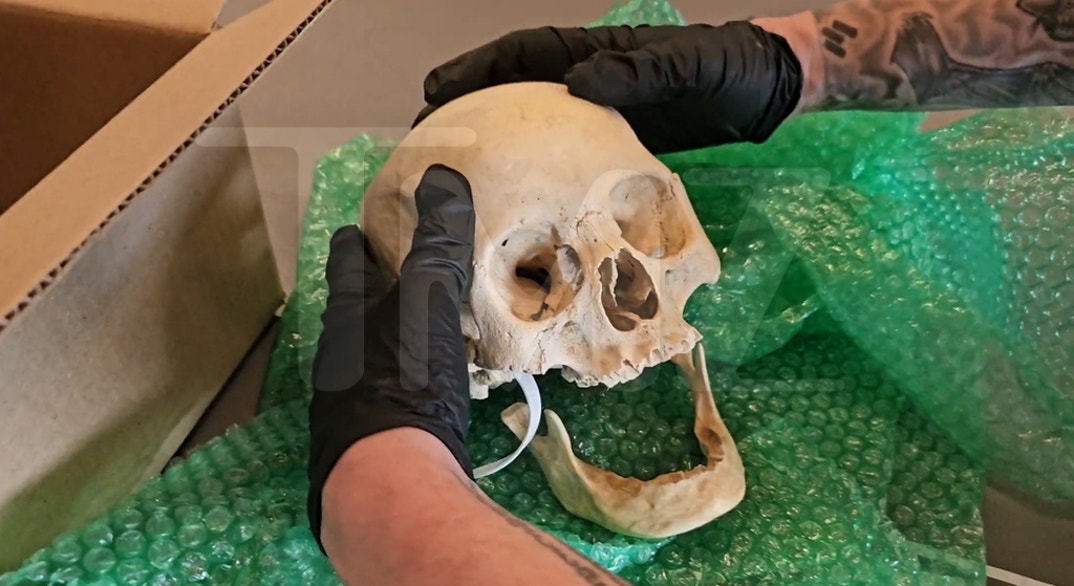 Hila Klein Human Skull 1