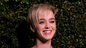 Katy Perry Buys Drinks for Santa Barbara Crowd During Benefit Concert