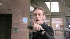 Aaron Carter Goes Nuts in Court After Judge Orders Him to Surrender Guns