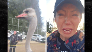 092425_ostrich_farm_arrest_primar